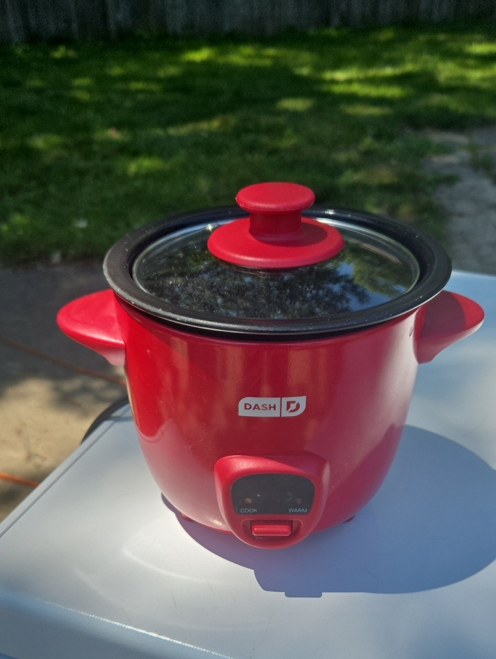 Ash Red Dash Mini Rice Cooker with Glass Lid